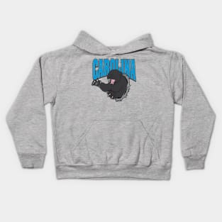 Carolina Football Kids Hoodie